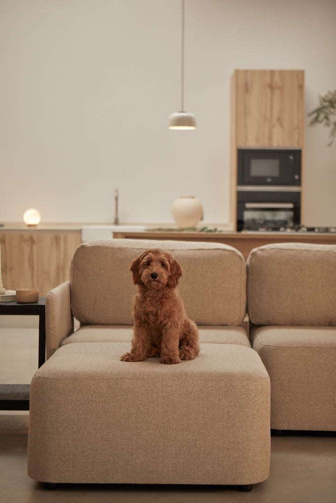 5 claves para decorar salón comedor rectangular de 20 metros