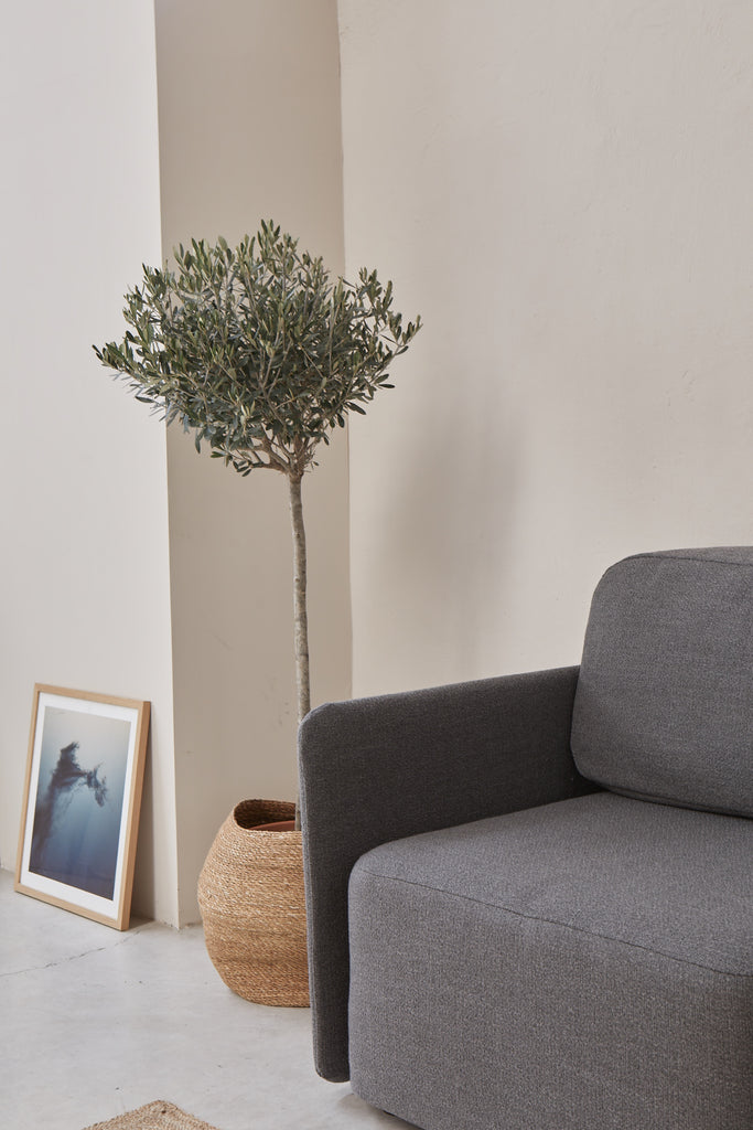 Decoración oficina moderna: ¡estas 7 cosas no pueden faltar!